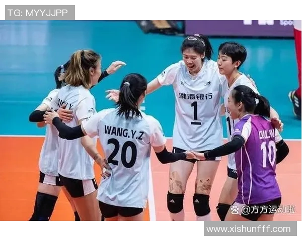 南京排球队控制打法深度分析与战术解读