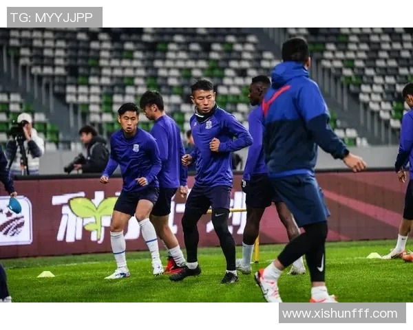 申花与人和精彩对决比赛录像回顾分析及精彩瞬间集锦