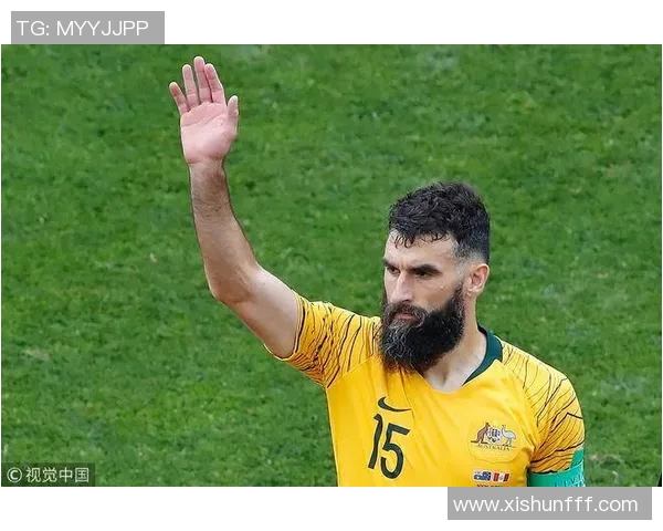 秘鲁与丹麦比赛中黄牌数对比分析及其影响探讨