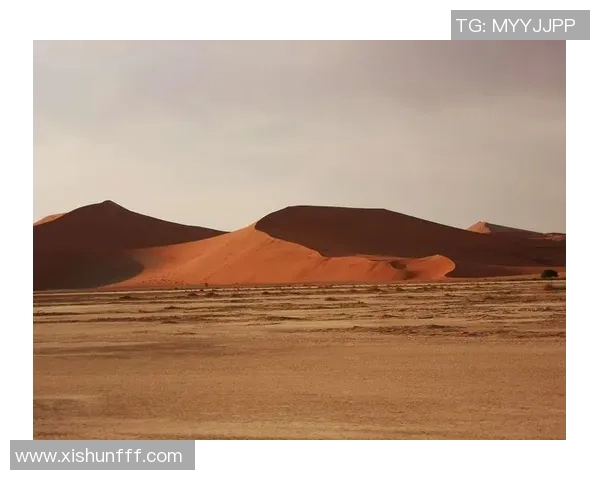 南非与纳米比亚激战正酣谁能在这场较量中脱颖而出