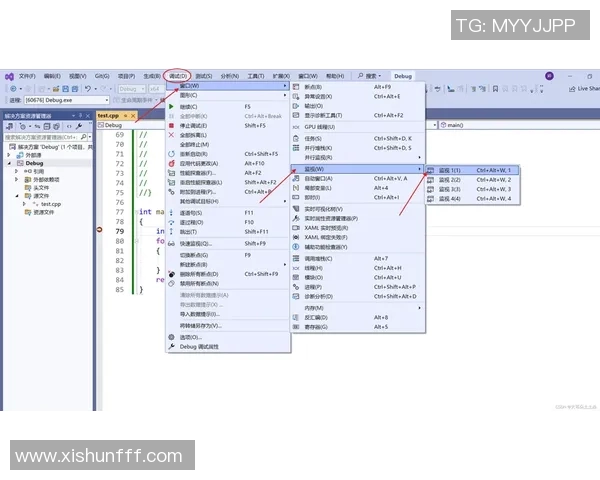 深入浅出掌握vs自拉放大技巧的全面教程与实用案例分析